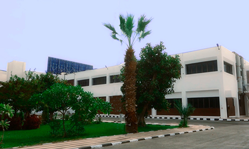 エジプト大塚製薬株式会社