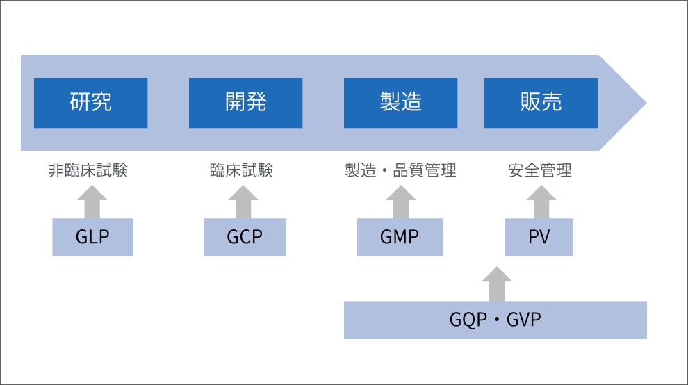 医薬品ができるまでのライフサイクルと規制