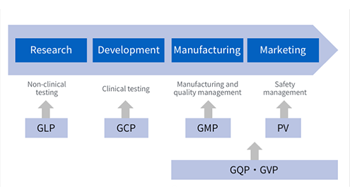 Life Cycle and Regulations in the Pharmaceutical Manufacturing Process