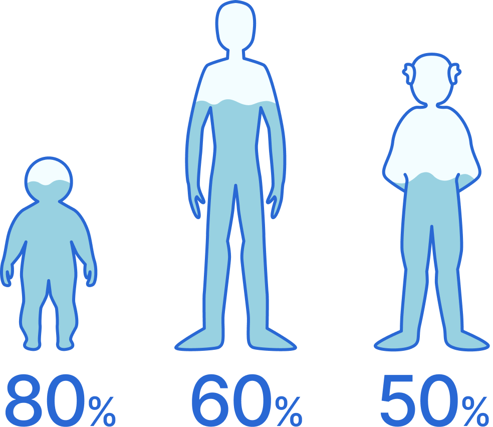 体液の割合のイメージ画像