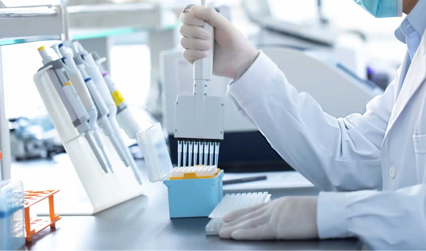 研究している様子