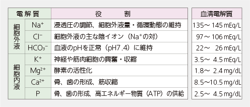 電解質それぞれの役割と血清電解質量についての表