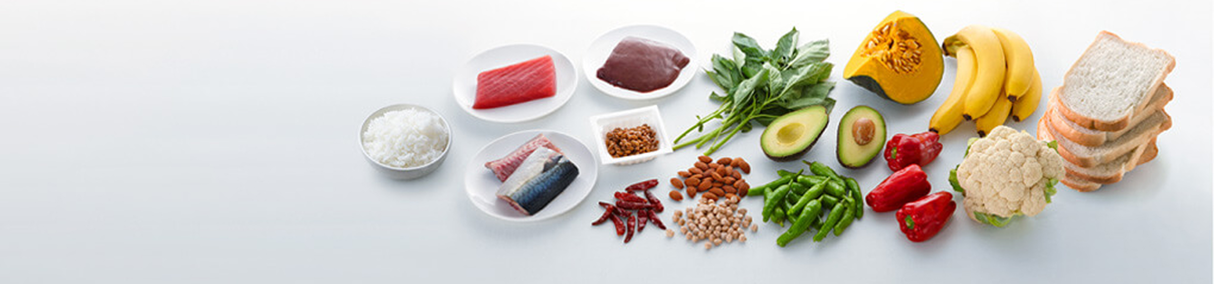 栄養の基礎知識