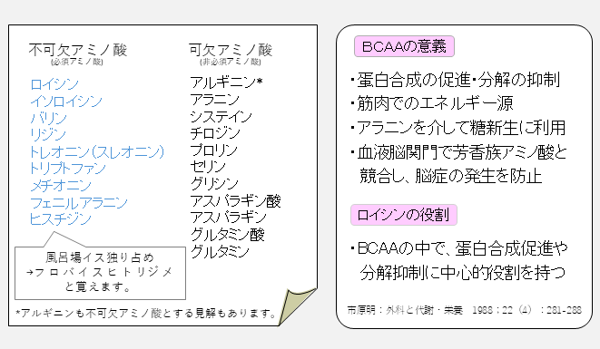 必須アミノ酸と非必須アミノ酸の区分、BCAAの意義、ロイシンの役割について