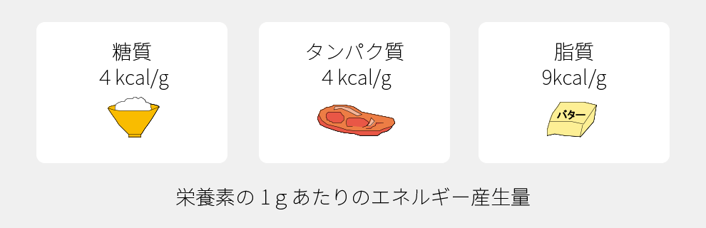 栄養素1gあたりのエネルギー産生量