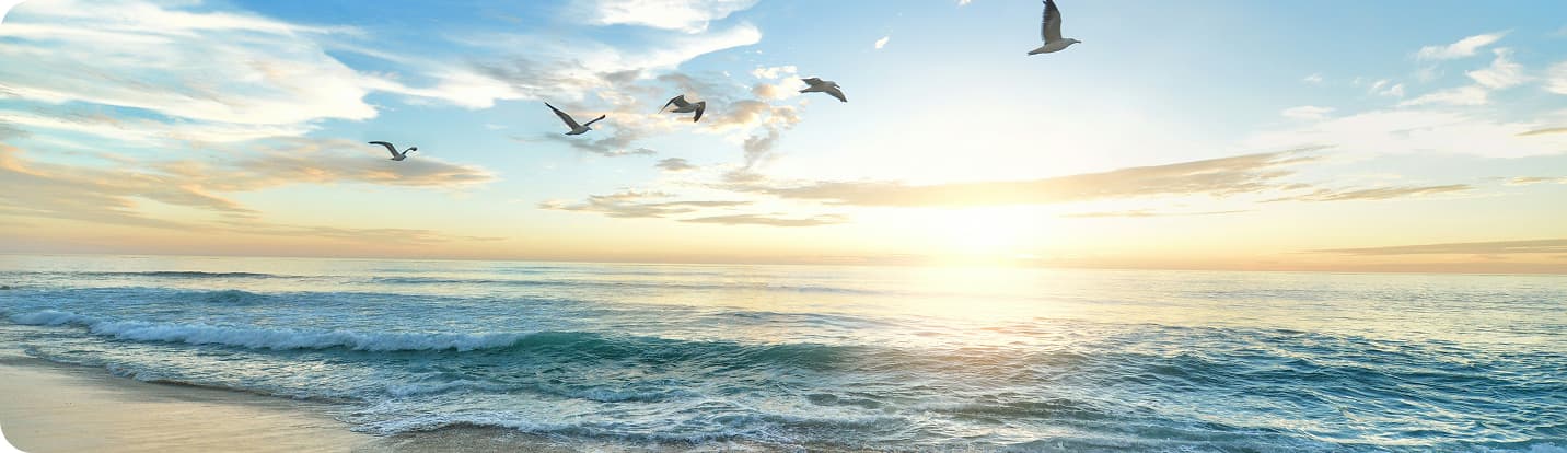 海上を飛ぶ鳥の群れの写真