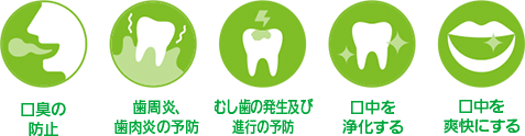 口臭の防止、歯肉炎・歯周炎の予防、むし歯の発生及び進行の予防、口中を浄化する、口中を爽快にする。