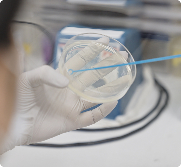 Our Current Challenge: Next-generation Product Development