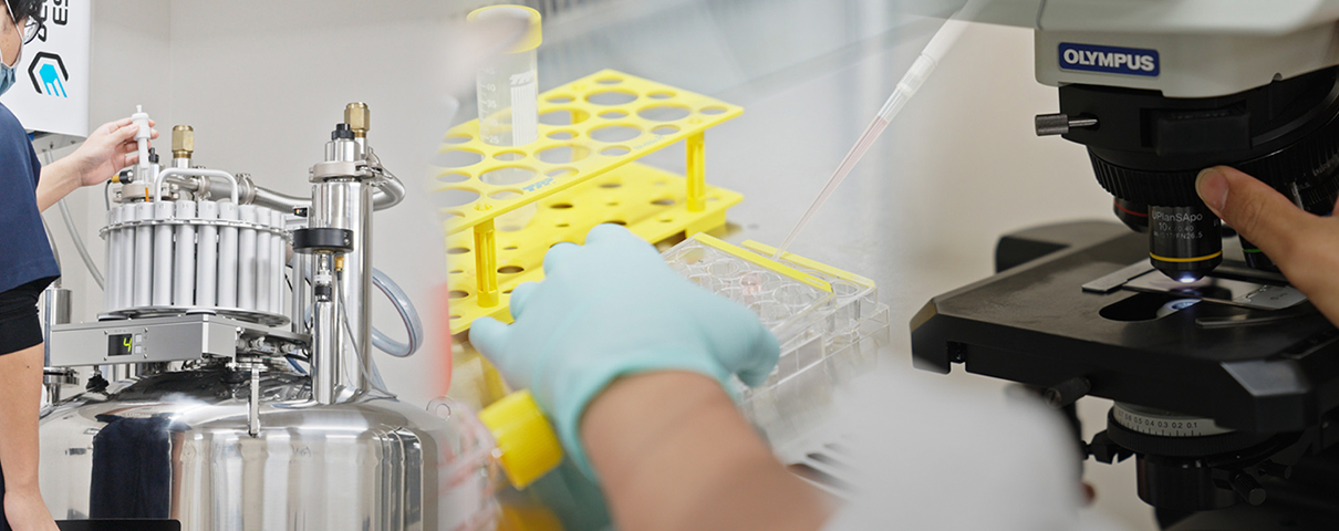 Creating new value through drug discovery (Naruto Research Institute)