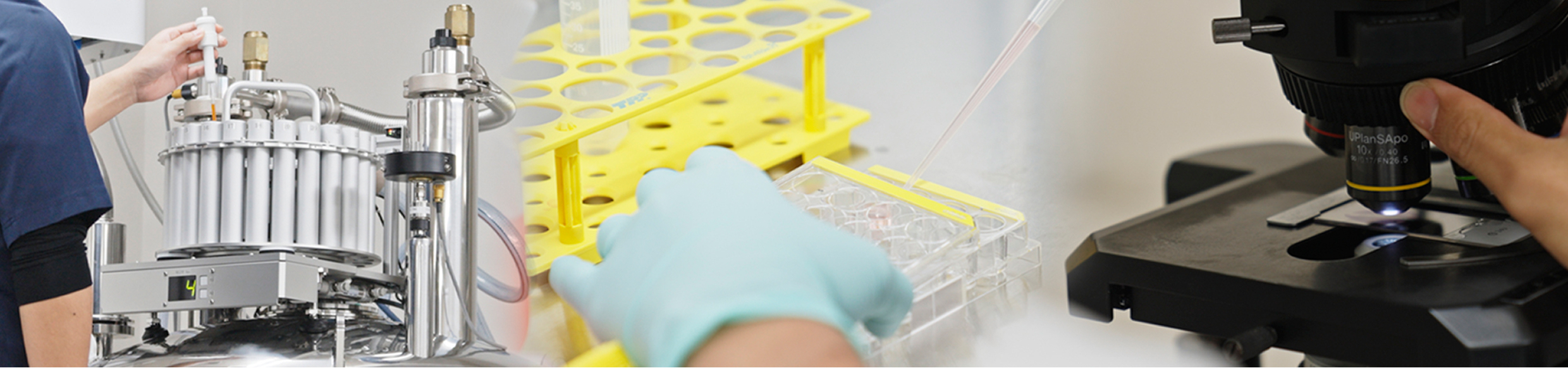 Research area (Naruto Research Institute)