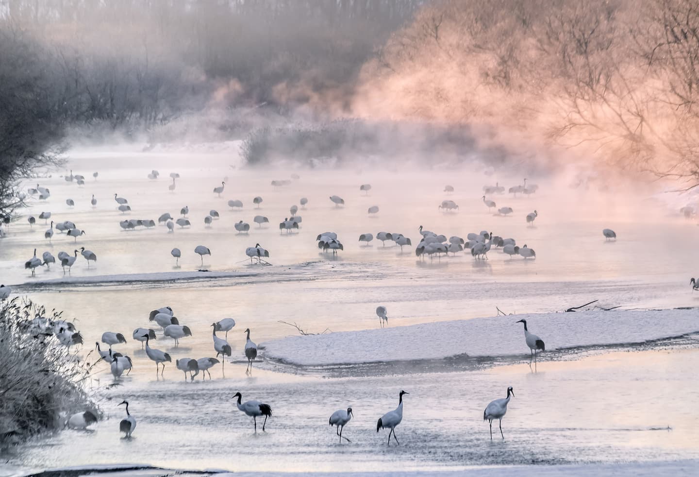 釧路の自然豊かな風景