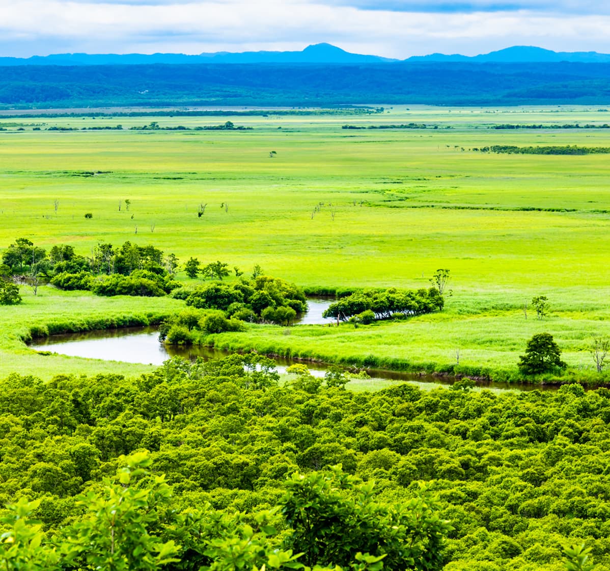 雄大な釧路湿原の風景