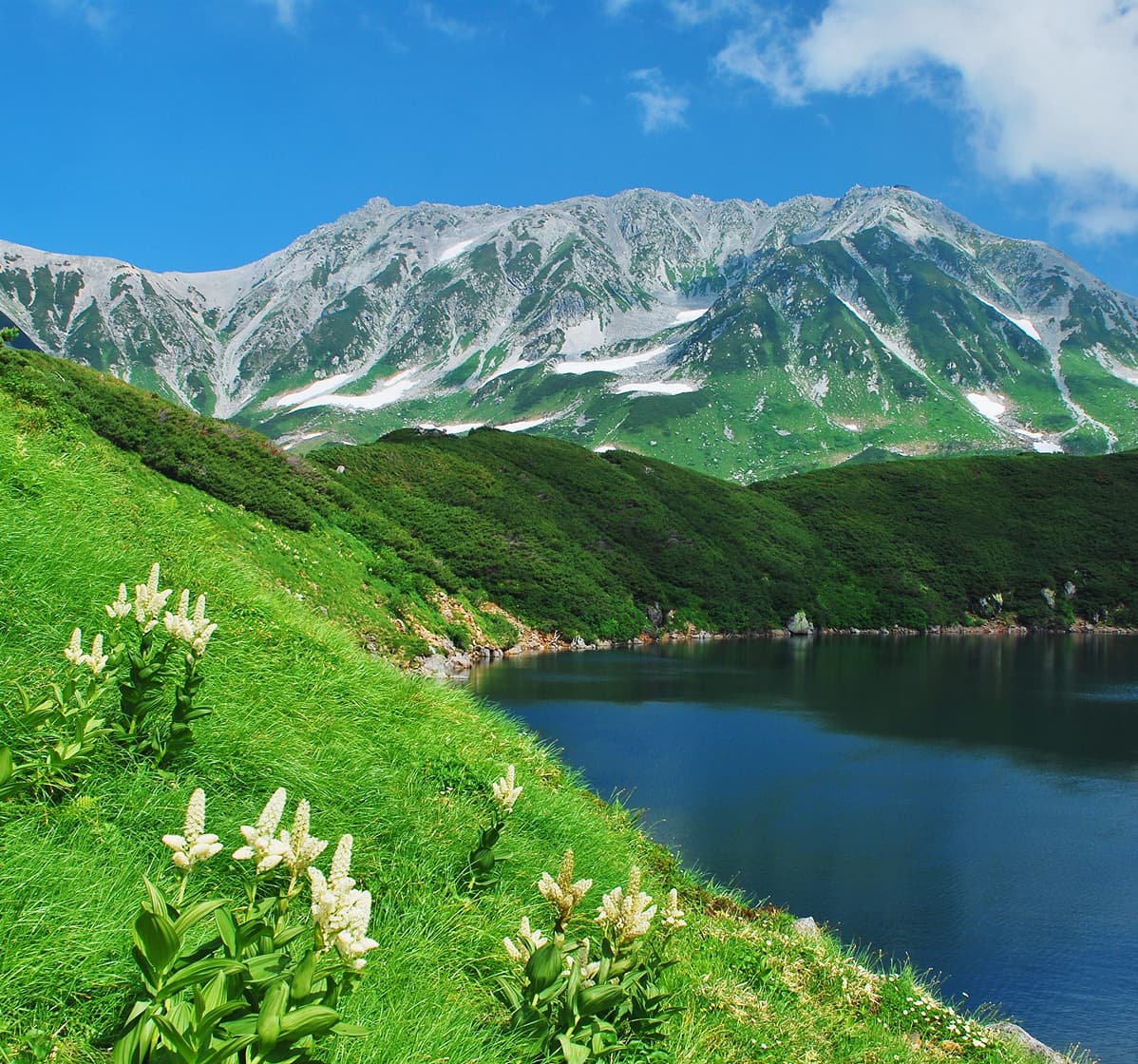 ダイナミックな自然