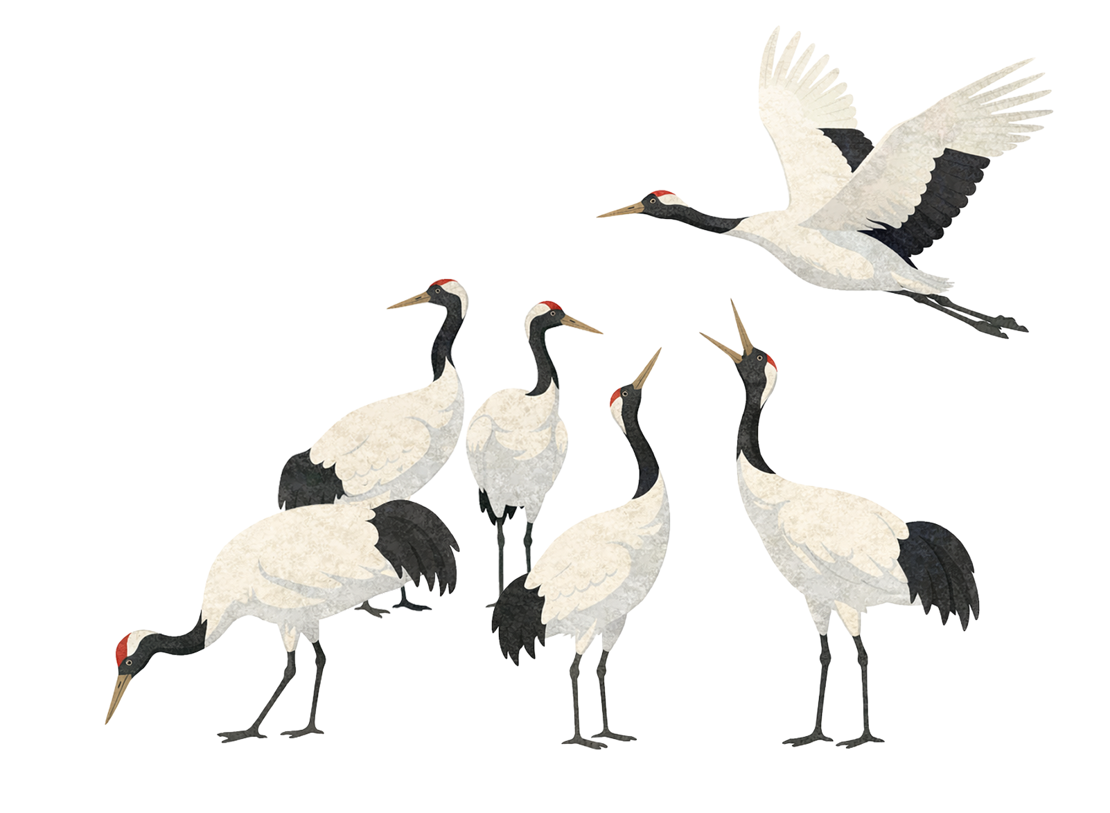 音別新八景の風景