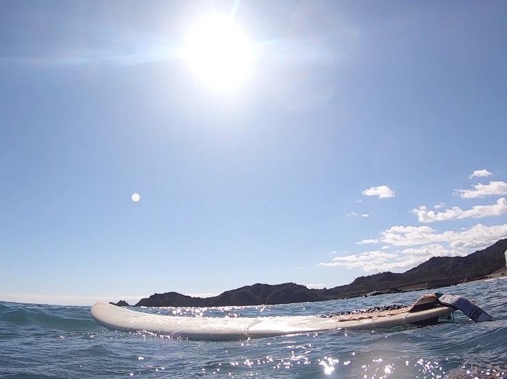 徳島の海でリフレッシュする様子