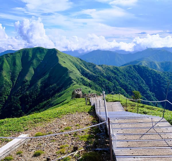 社員インタビュー