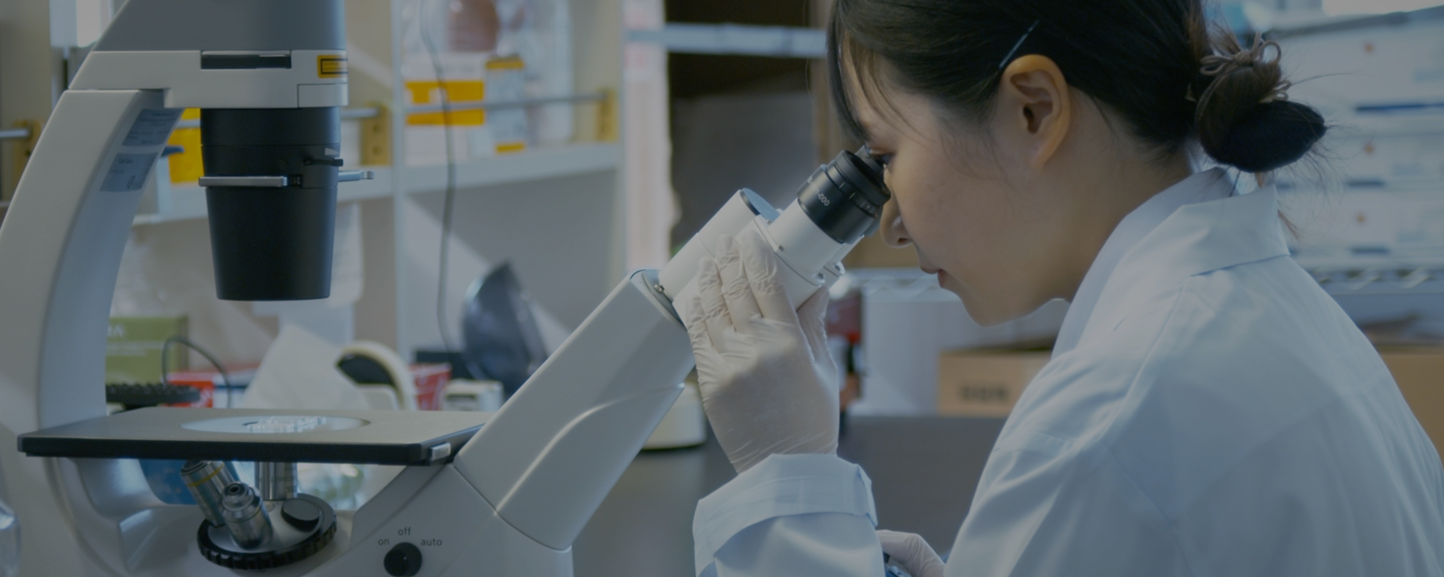 探索・基礎研究