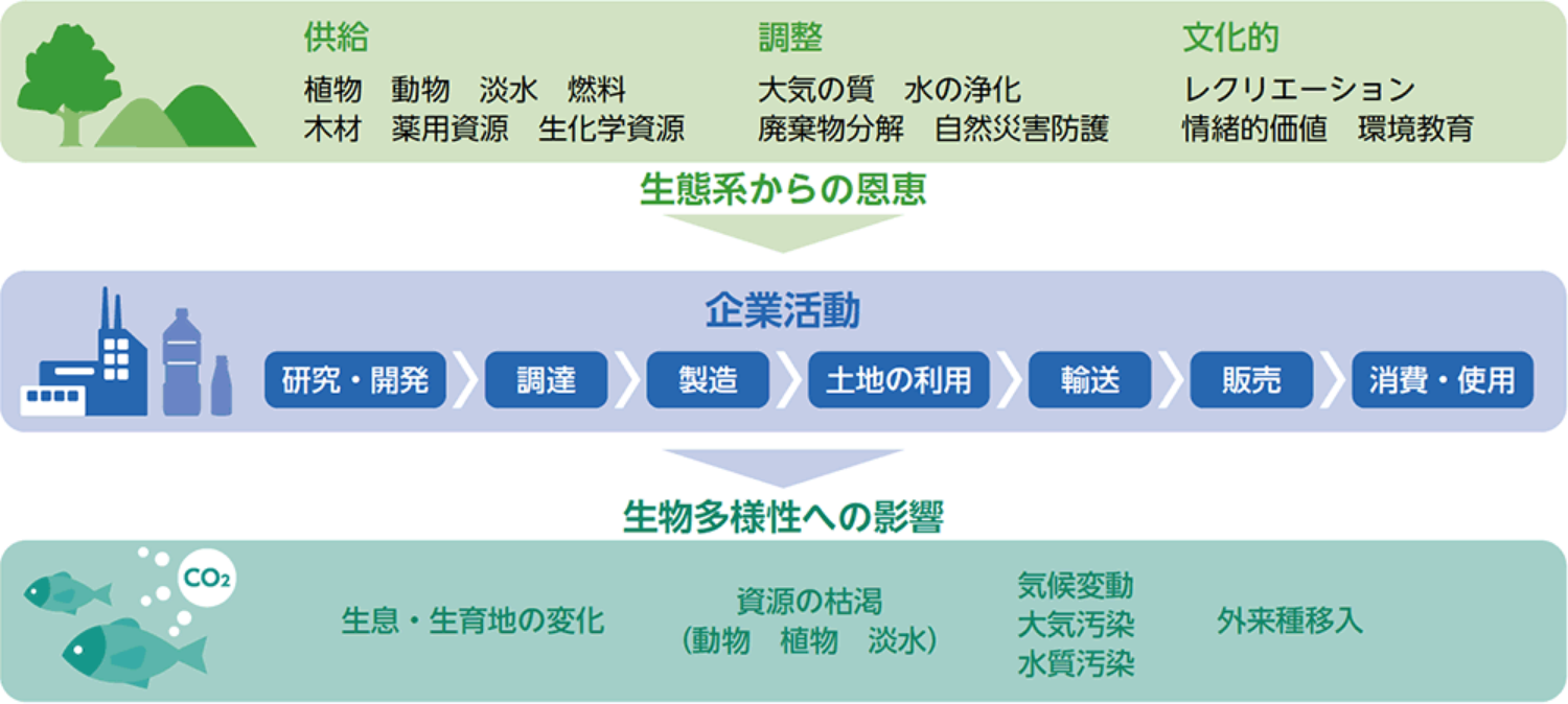 生物多様性と事業活動のかかわり