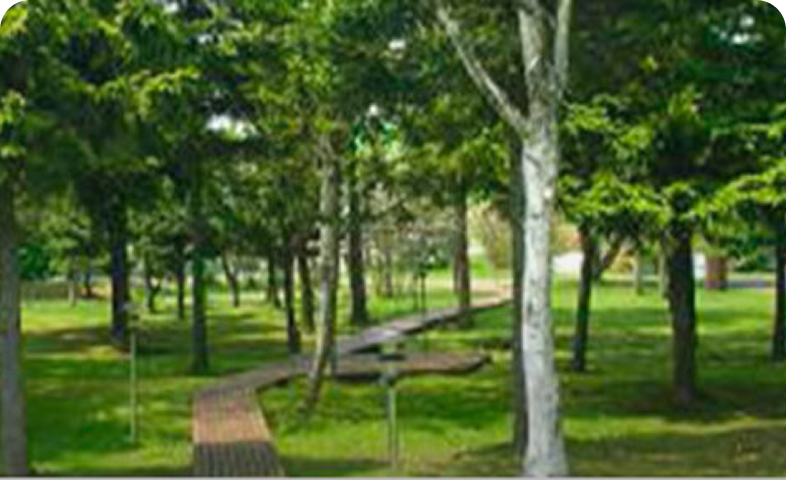 カーボンニュートラル