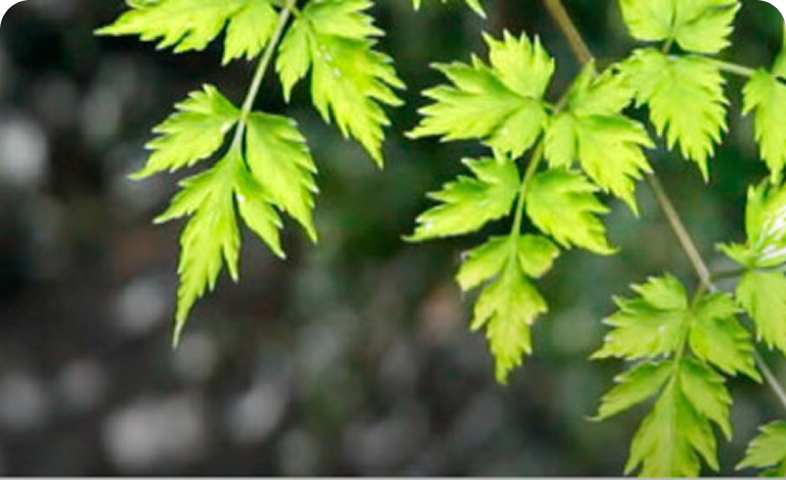 サーキュラーエコノミー