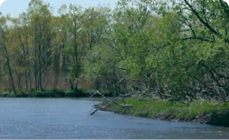 ウォーターニュートラル