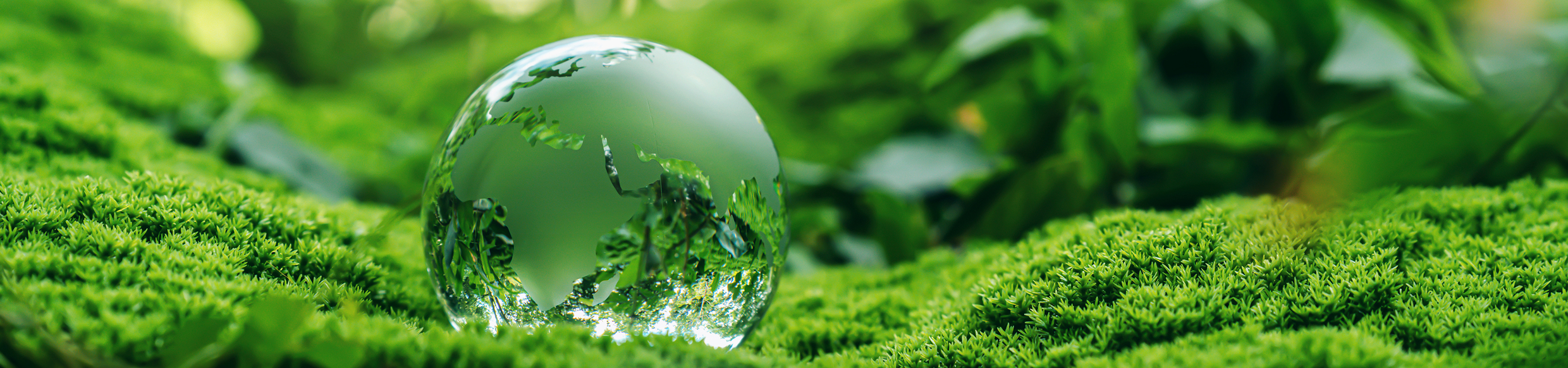 環境方針・環境マネジメント