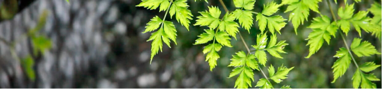 サーキュラーエコノミー