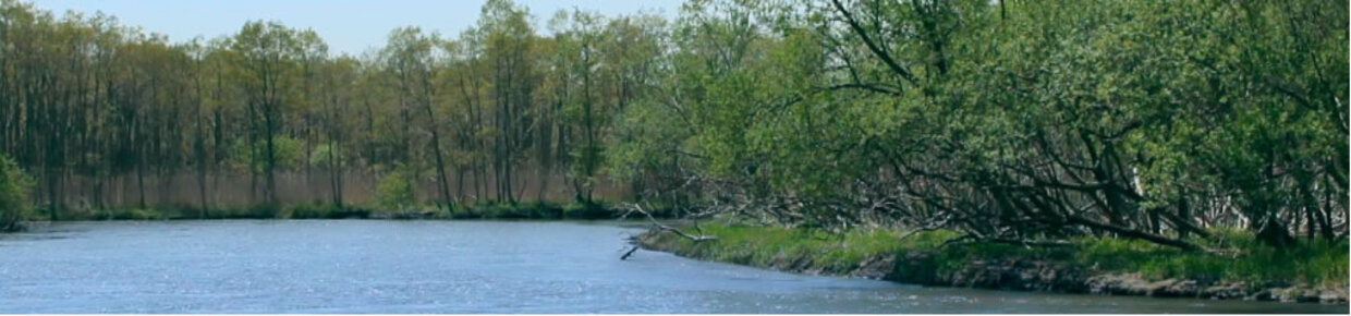 ウォーターニュートラル