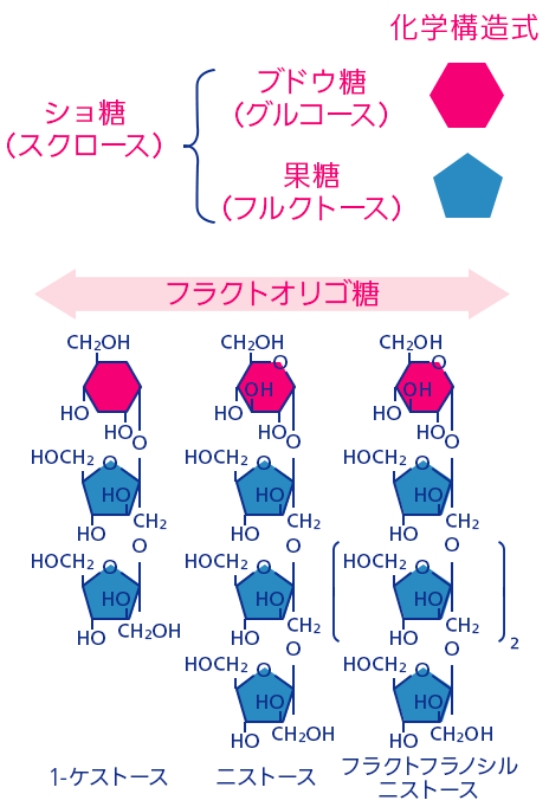 奥 恒行 : 栄養学雑誌, 1986; 44(6) 291-306