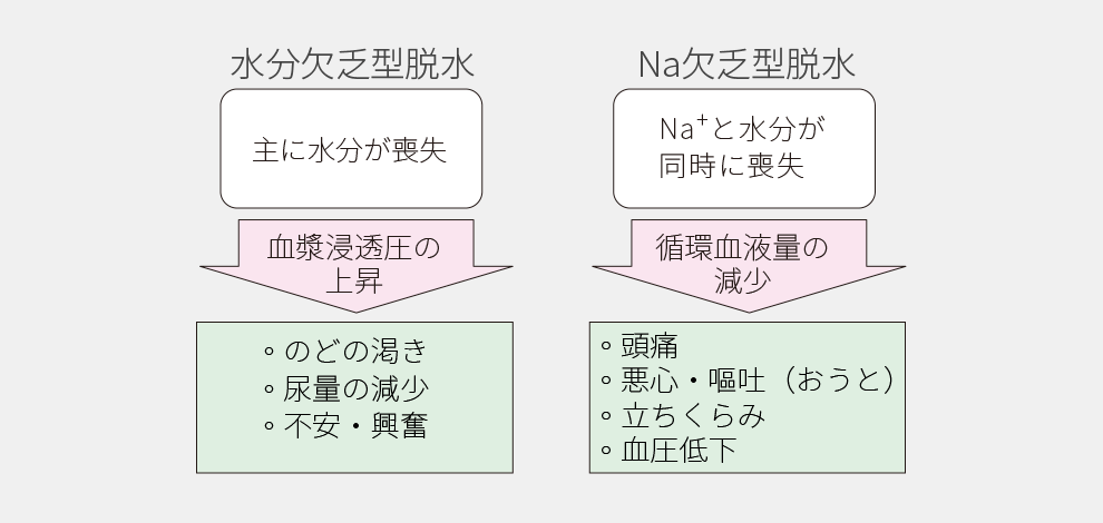 と は 性 脱水 高張