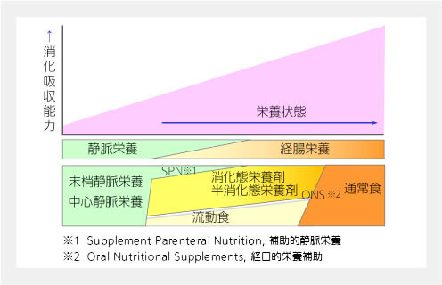 消化吸収能力と医薬品・食品に関する区分と相関グラフ