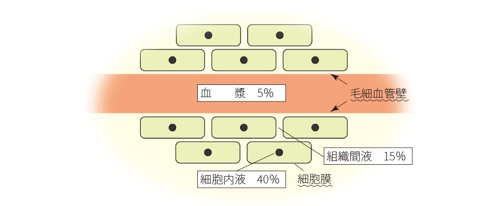 体液区分の図解