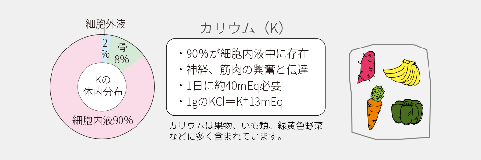 カリウムの体内分布表