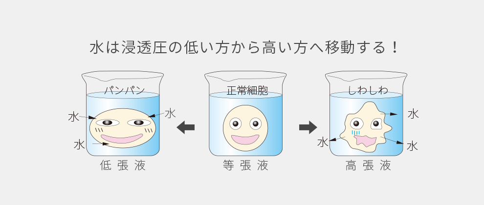 水は浸透圧の低い方から高い方へ移動する