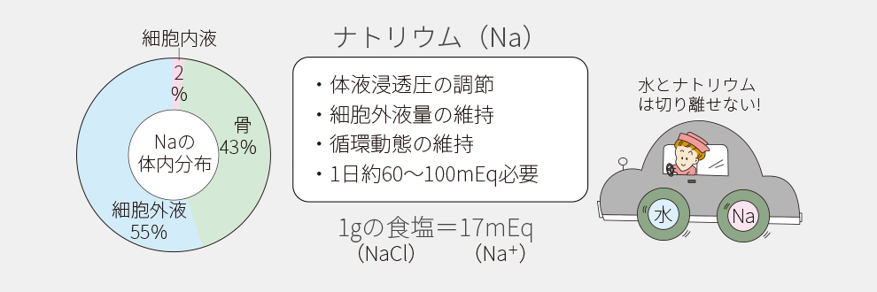 ナトリウムの体内分布表