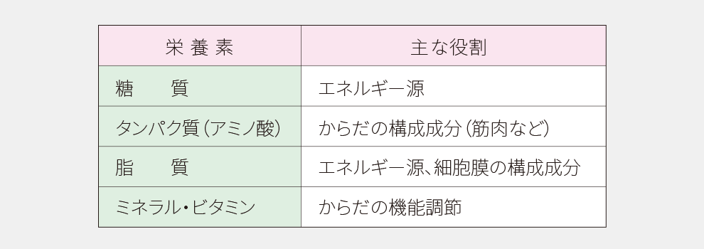 糖質、タンパク質、脂質、ビタミン、ミネラルの主な役割について