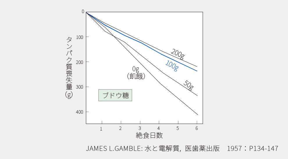 絶食日数とタンパク質総質量のグラフ