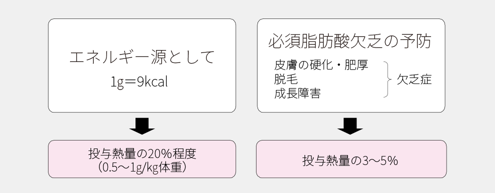 エネルギー源として1g=9kcal→投与熱量の20%程度（0.5～1g/kg体重）、必須脂肪酸欠乏の予防（皮膚の硬化・肥厚・脱毛・成長障害）→投与熱量の3～5%