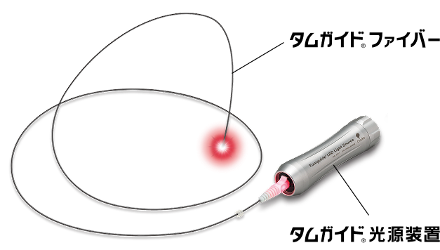 タムガイドについて イメージ