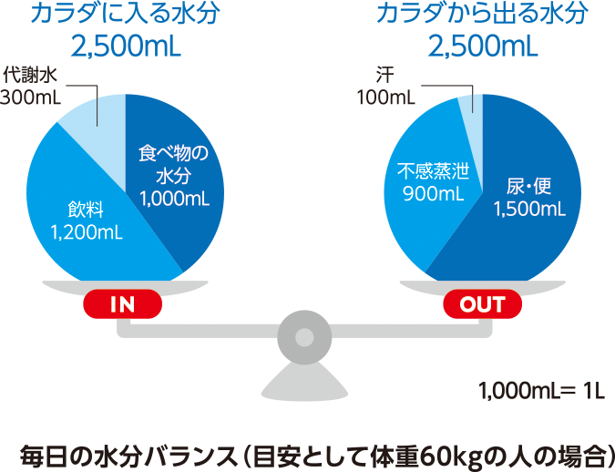 水分バランスの図.png