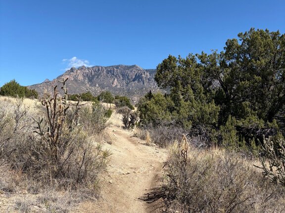 アルバカーキ合宿③　宿舎の近くにはトレイルランニングコースがあり、様々なコースを走ることができます（スタッフ撮影）