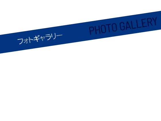 フォトギャラリー