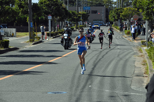 DSC_0133_2.jpgのサムネイル画像